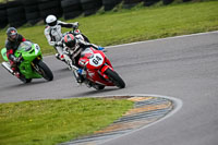 PJ-Motorsport-2019;anglesey-no-limits-trackday;anglesey-photographs;anglesey-trackday-photographs;enduro-digital-images;event-digital-images;eventdigitalimages;no-limits-trackdays;peter-wileman-photography;racing-digital-images;trac-mon;trackday-digital-images;trackday-photos;ty-croes